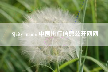 柳林中国执行信息公开网网