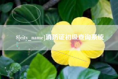 柳林消防证初级查询系统