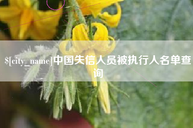 柳林中国失信人员被执行人名单查询