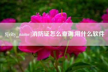 柳林消防证怎么查询,用什么软件