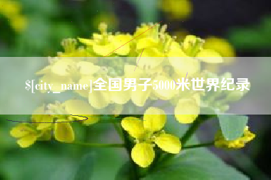 柳林全国男子5000米世界纪录