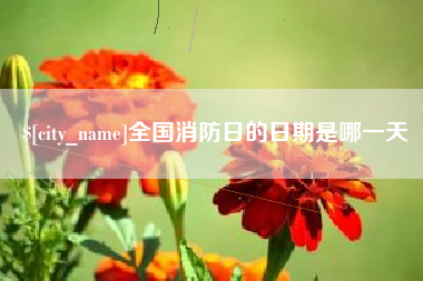 柳林全国消防日的日期是哪一天