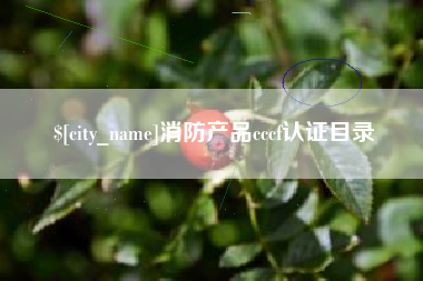 柳林消防产品cccf认证目录