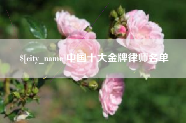 柳林中国十大金牌律师名单