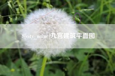 柳林九宫建筑平面图