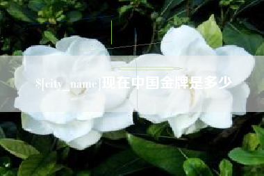 柳林现在中国金牌是多少