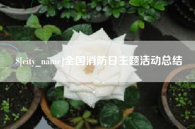柳林全国消防日主题活动总结