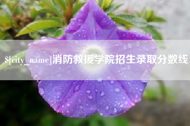 柳林消防救援学院招生录取分数线