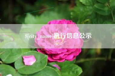 柳林执行信息公示