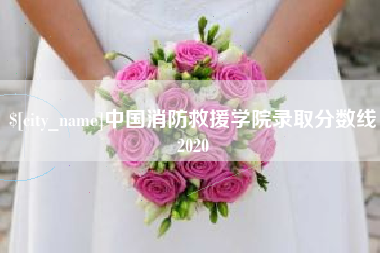 柳林中国消防救援学院录取分数线2020