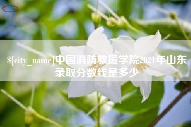 柳林中国消防救援学院2021年山东录取分数线是多少