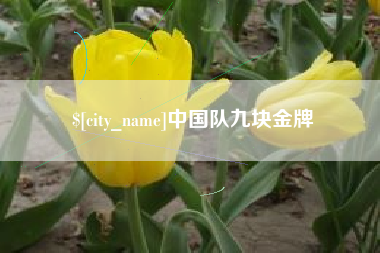 柳林中国队九块金牌