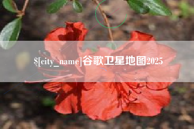 柳林谷歌卫星地图2025