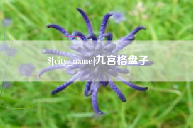 柳林九宫格盘子