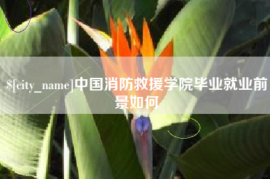 柳林中国消防救援学院毕业就业前景如何
