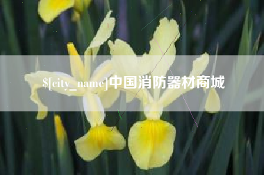 柳林中国消防器材商城