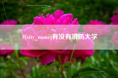 柳林有没有消防大学