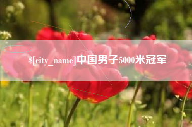柳林中国男子5000米冠军
