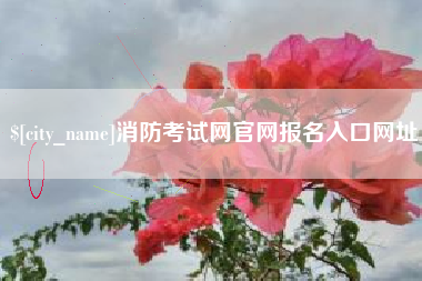 柳林消防考试网官网报名入口网址