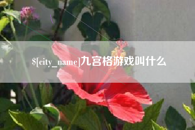 柳林九宫格游戏叫什么