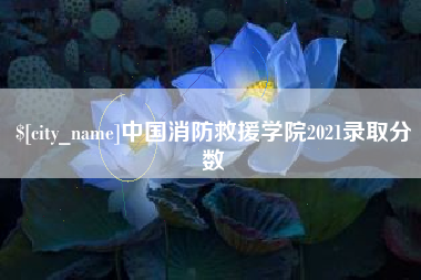 柳林中国消防救援学院2021录取分数
