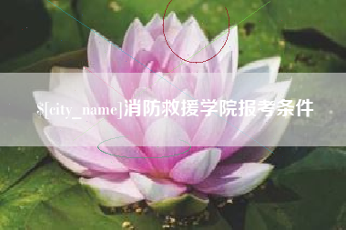 柳林消防救援学院报考条件