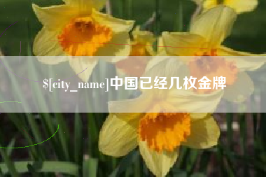 柳林中国已经几枚金牌