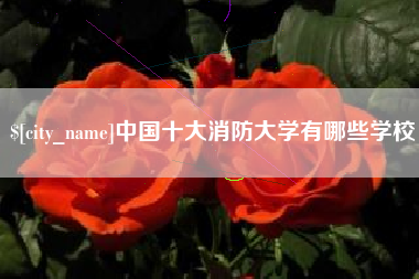 柳林中国十大消防大学有哪些学校