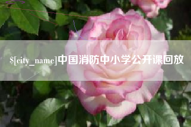 柳林中国消防中小学公开课回放