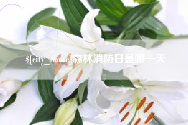 柳林森林消防日是哪一天