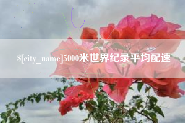 柳林5000米世界纪录平均配速