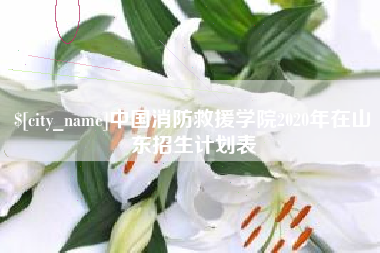 柳林中国消防救援学院2020年在山东招生计划表