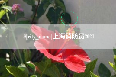 柳林上海消防员2021