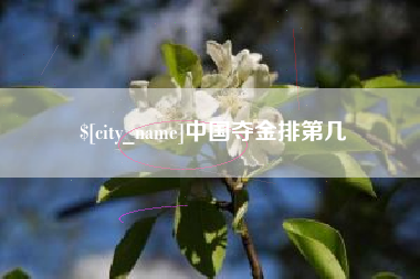 柳林中国夺金排第几