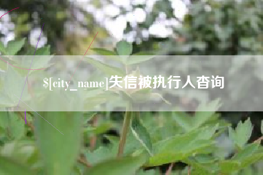 柳林失信被执行人杳询