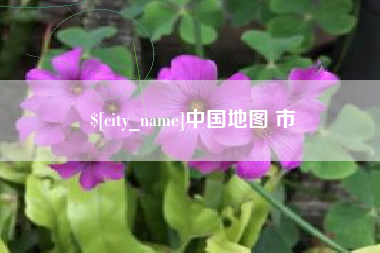 柳林中国地图 市