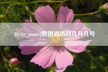 柳林我国消防日几月几号