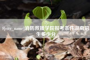 柳林消防救援学院报考条件湖南招生多少分