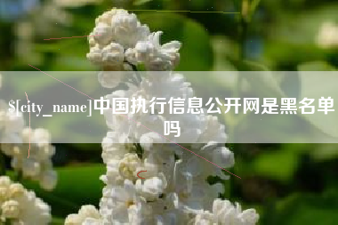 柳林中国执行信息公开网是黑名单吗