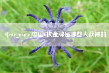 柳林中国6枚金牌是哪些人获得的