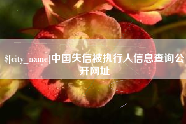 柳林中国失信被执行人信息查询公开网址