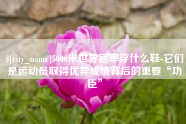 柳林5000米世界冠军穿什么鞋-它们是运动员取得优异成绩背后的重要“功臣”