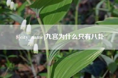 柳林九宫为什么只有八卦