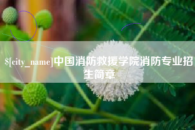 柳林中国消防救援学院消防专业招生简章