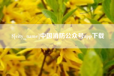 柳林中国消防公众号app下载