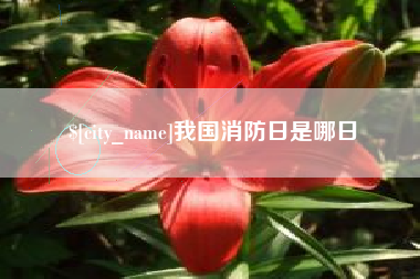 柳林我国消防日是哪日