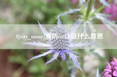 柳林消防ccc认证什么意思