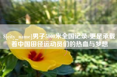 柳林男子5000米全国记录-更是承载着中国田径运动员们的热血与梦想
