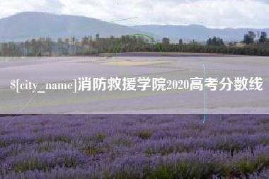 柳林消防救援学院2020高考分数线