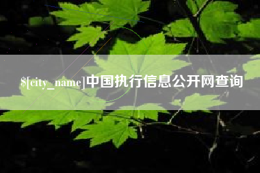 柳林中国执行信息公开网查询